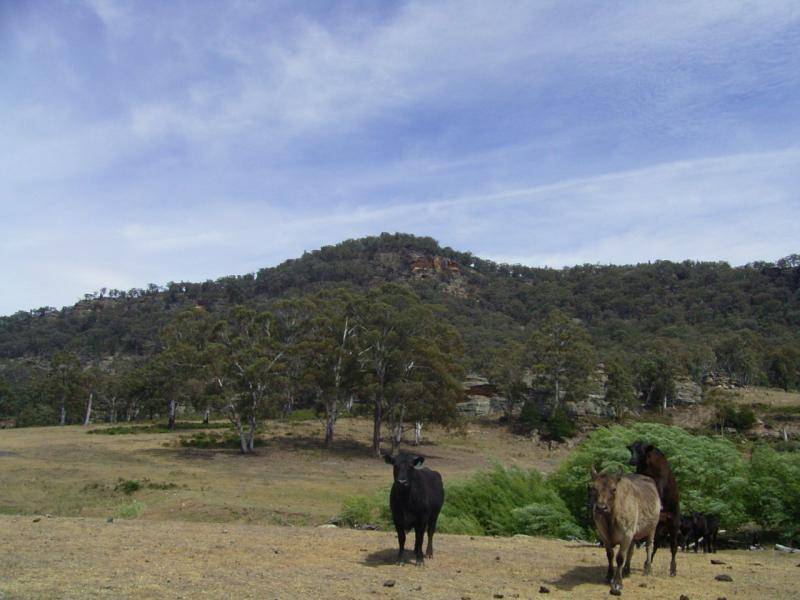 Aarons Pass NSW 2850
