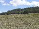 Aarons Pass NSW 2850