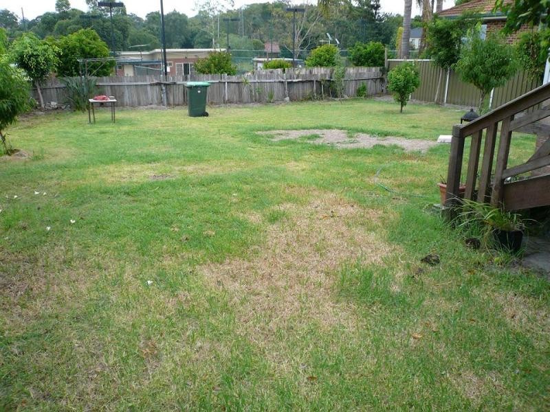 3 Hamer Street, Kogarah Bay NSW 2217