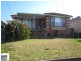 12 Cripps Avenue, Kingsgrove NSW 2208