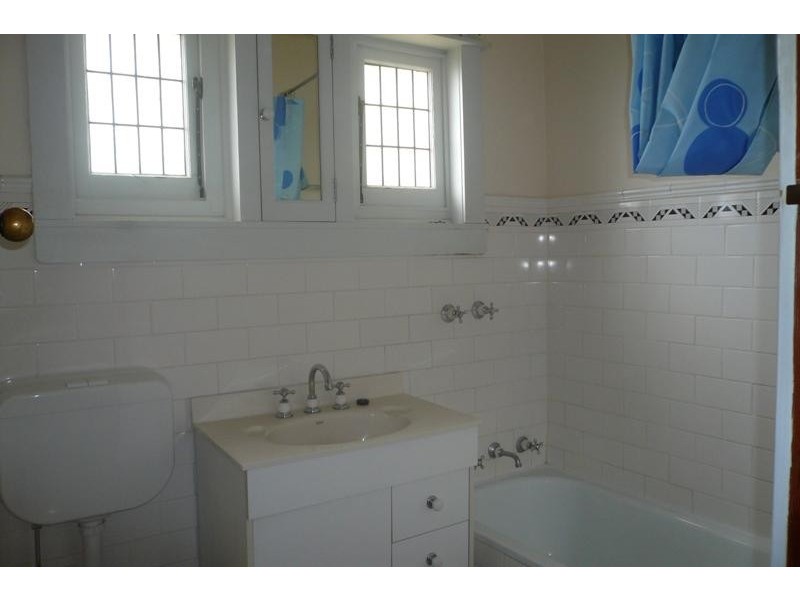 19 Knocklayde Street, Ashfield NSW 2131