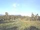 Arable NSW 2630