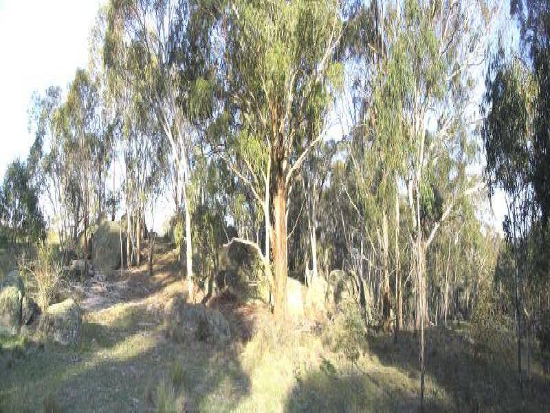 Arable NSW 2630