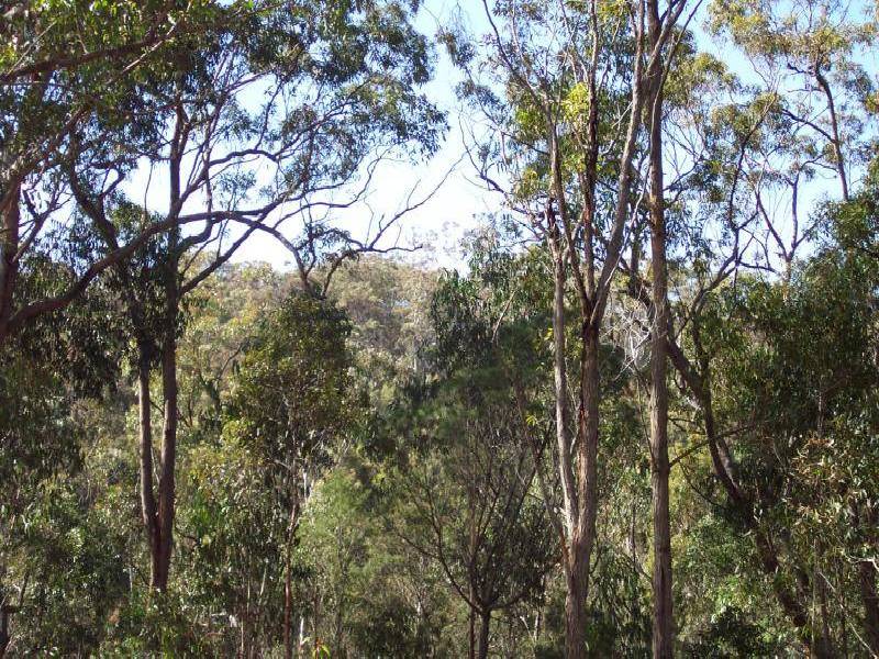 16 Timber Close, Kalaru NSW 2550