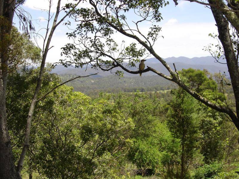 1210 Upper Brogo Road, Quaama NSW 2550