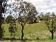 253 Auckland Street, Bega NSW 2550