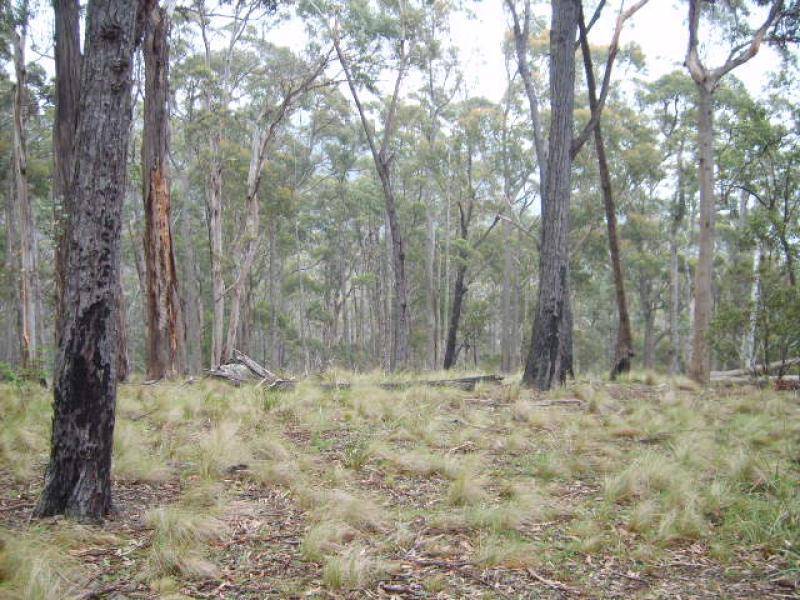 Lot 14-220 Moreings Road, Candelo NSW 2550