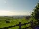 257 Kameruka Lane, Candelo NSW 2550