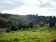 45 Auckland Street, Candelo NSW 2550