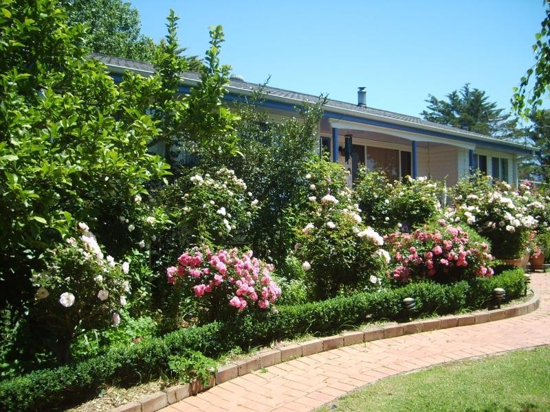 2079 Mogilla Road, Bemboka NSW 2550