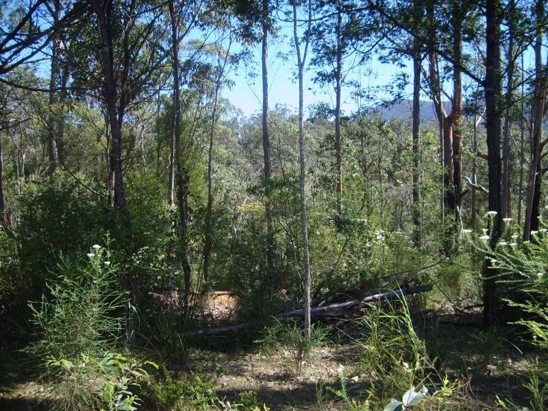 1642 Upper Brogo Road, Brogo NSW 2550