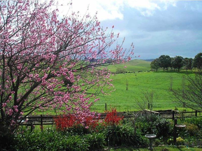 906 Candelo Wolumla Road, Wolumla NSW 2550