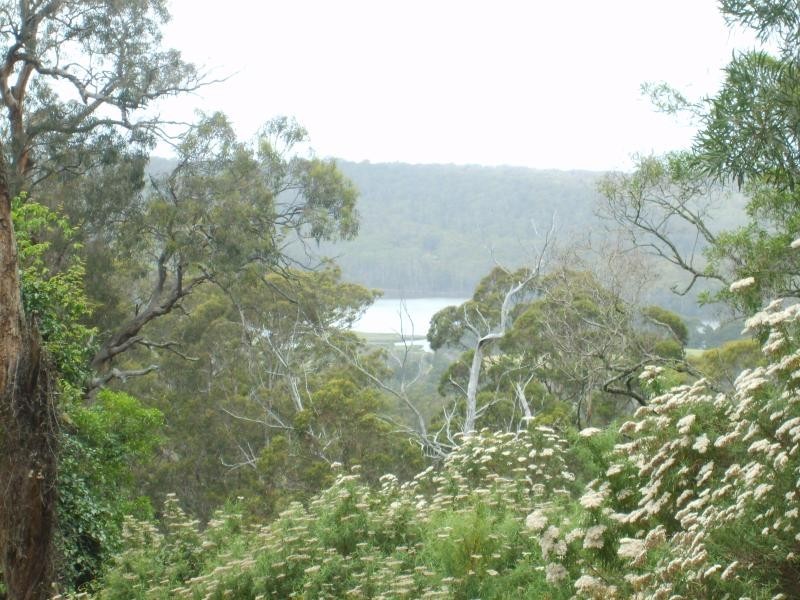 114 Vimy Ridge Road, Bega NSW 2550