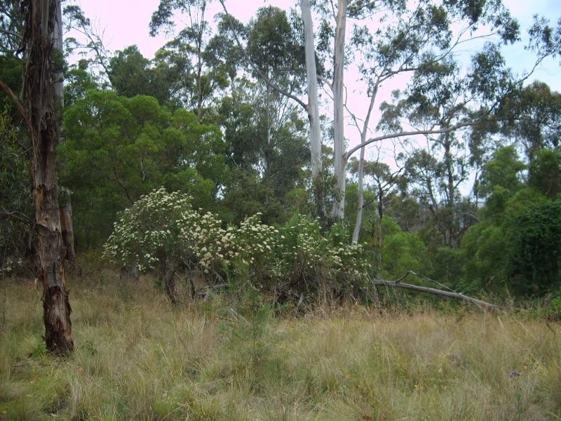 114 Vimy Ridge Road, Bega NSW 2550