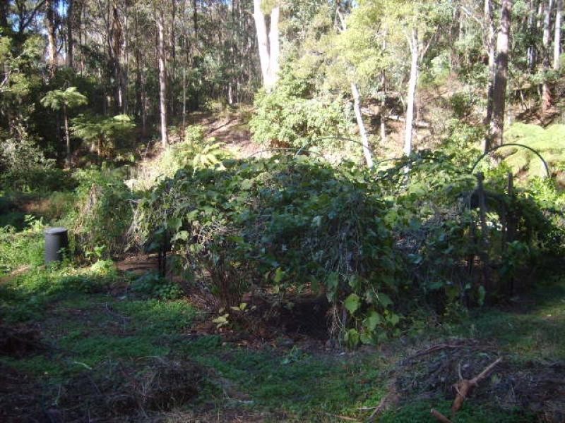 Lot 2 Snowy Mountains Highway, Bemboka NSW 2550