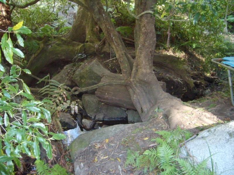 Lot 2 Snowy Mountains Highway, Bemboka NSW 2550