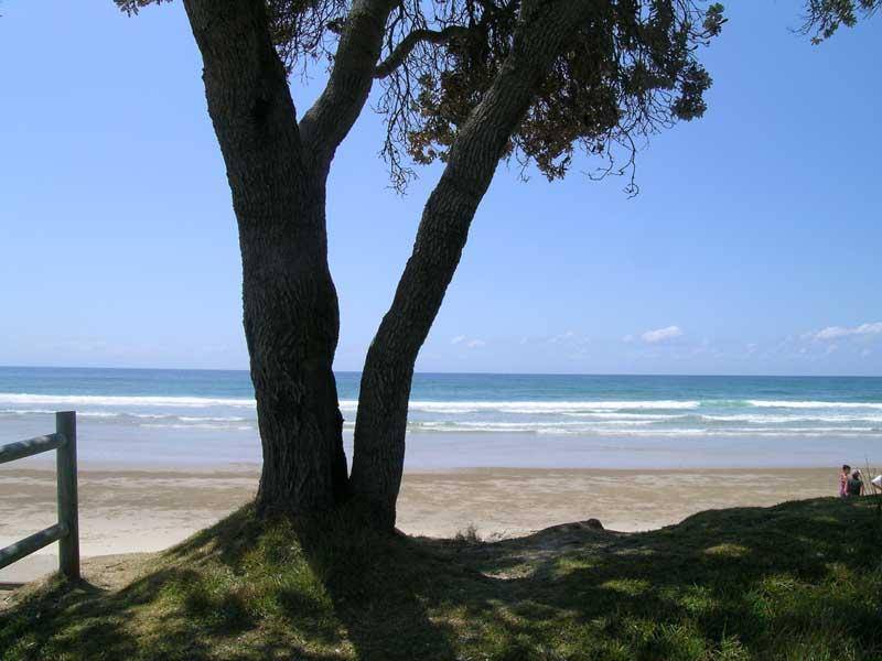 52 Ocean Road, Brooms Head NSW 2463