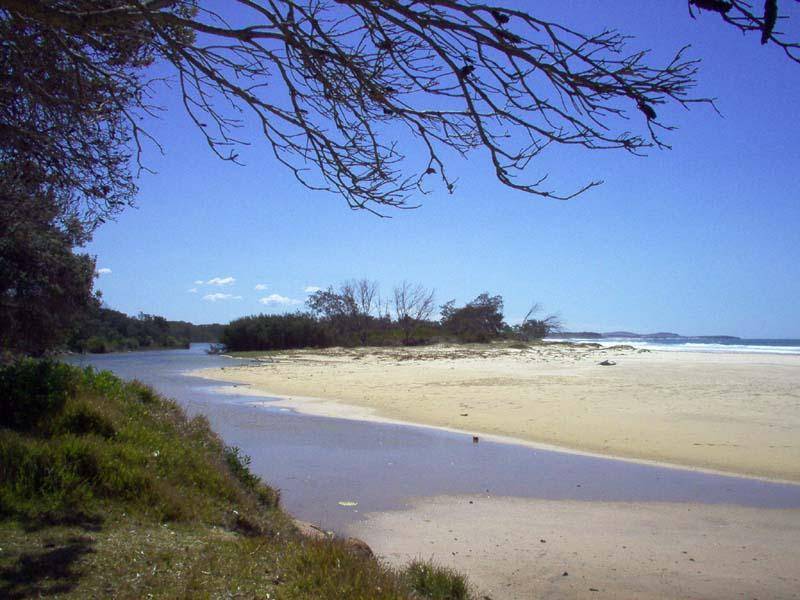 29 Ocean Road, Brooms Head NSW 2463