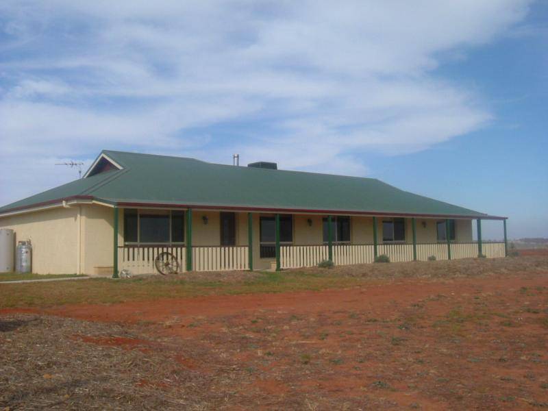 591 Spring Creek Road, Young NSW 2594