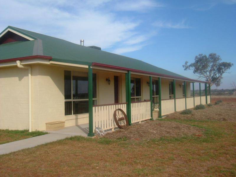 591 Spring Creek Road, Young NSW 2594