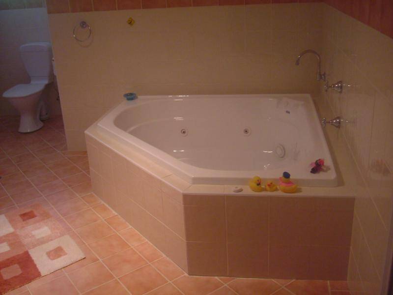 36 Back Creek Road, Young NSW 2594