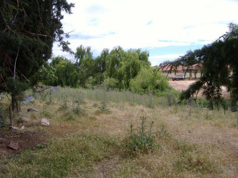 17 Trafalgar Street, Young NSW 2594