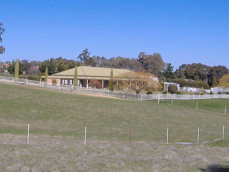426 Back Creek Road, Young NSW 2594