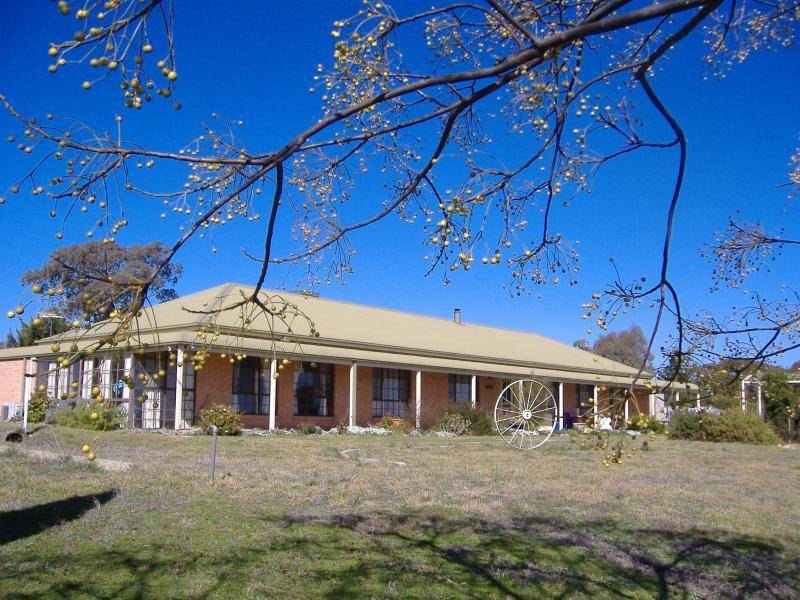 426 Back Creek Road, Young NSW 2594