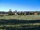 65 Chums Lane, Young NSW 2594