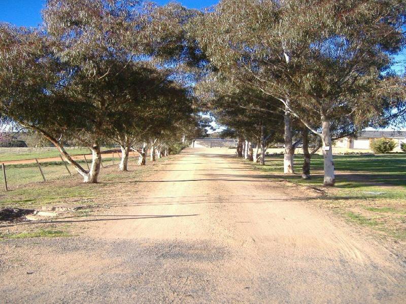 65 Chums Lane, Young NSW 2594