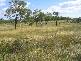 Lot 4 Bruce Highway, Bowen QLD 4805