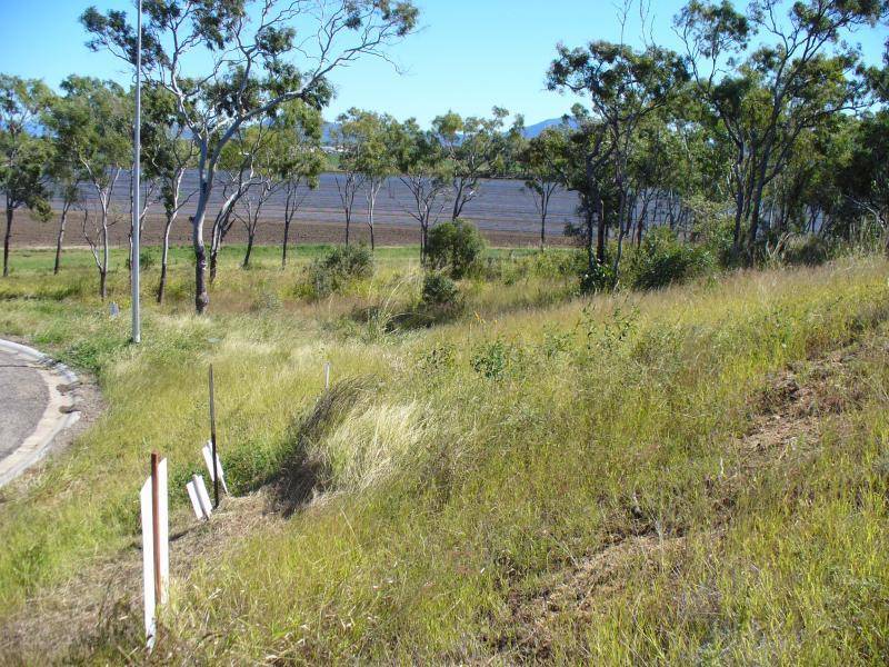 10 Craigie Court, Bowen QLD 4805