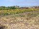 Lot 7 Chandlers Road, Bowen QLD 4805