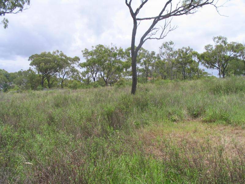 64 Africandar Road, Bowen QLD 4805