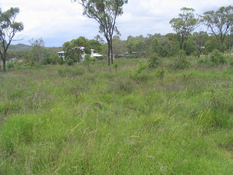 64 Africandar Road, Bowen QLD 4805