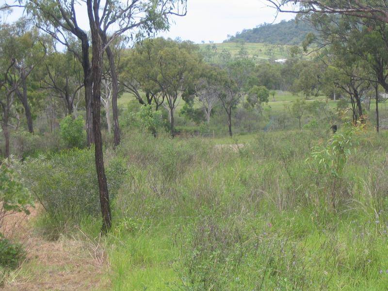 64 Africandar Road, Bowen QLD 4805
