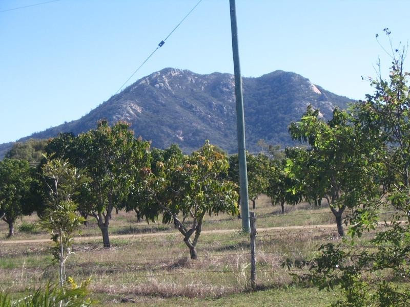 49 Arratta Road, Bowen QLD 4805