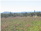 Lot 8 Bruce Highway, Bowen QLD 4805