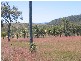 Lot 8 Bruce Highway, Bowen QLD 4805