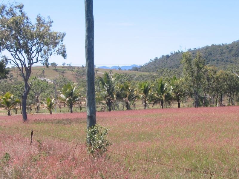 Lot 8 Bruce Highway, Bowen QLD 4805