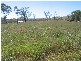 Lot 8 Bruce Highway, Bowen QLD 4805