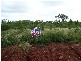 Lot 5 Bayview Crescent, Bowen QLD 4805