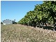 Lot 3 Kelsey Road, Bowen QLD 4805