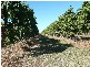 Lot 3 Kelsey Road, Bowen QLD 4805