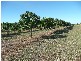 Lot 3 Kelsey Road, Bowen QLD 4805