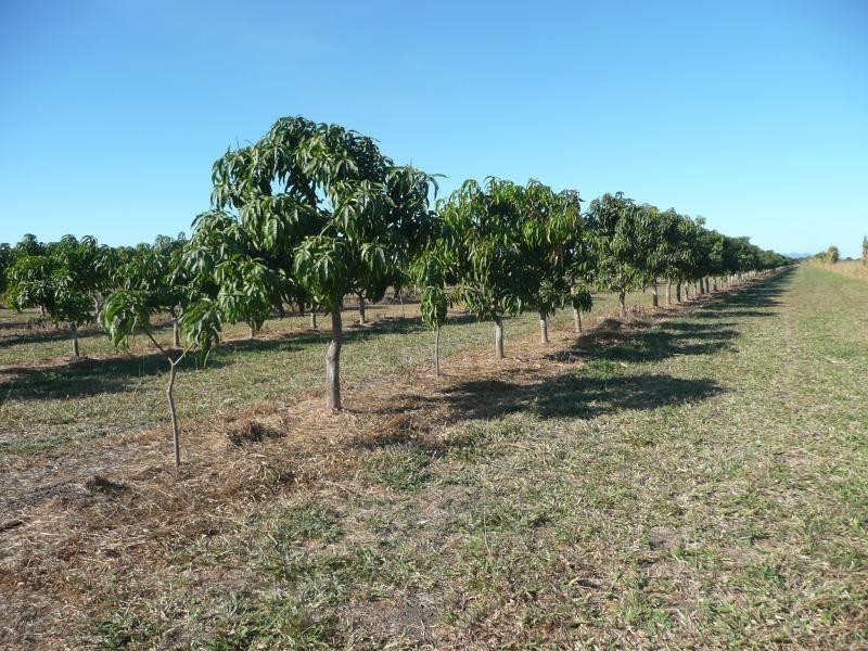 Lot 3 Kelsey Road, Bowen QLD 4805
