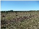 Lot 3 Kelsey Road, Bowen QLD 4805