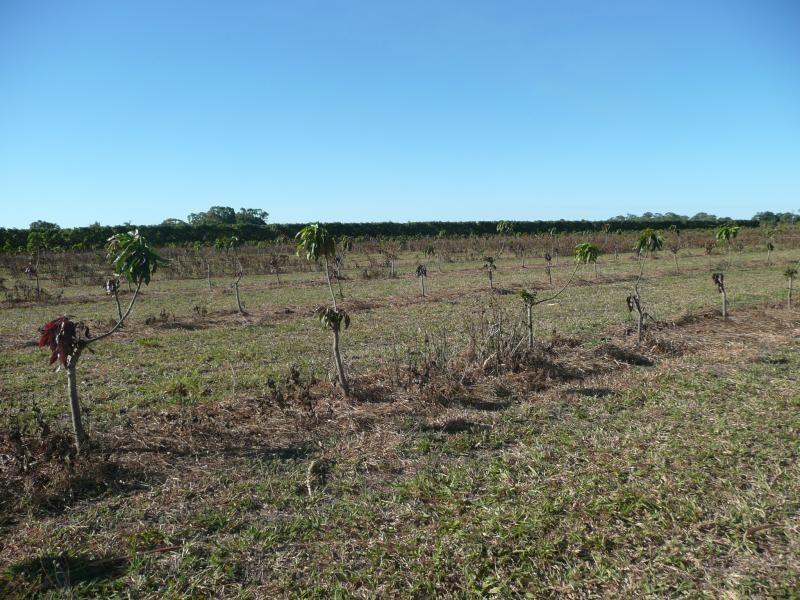 Lot 3 Kelsey Road, Bowen QLD 4805
