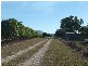 Lot 3 Kelsey Road, Bowen QLD 4805