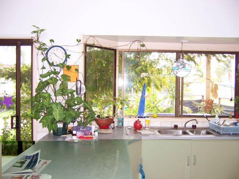 58 Cassea Street, Evans Head NSW 2473